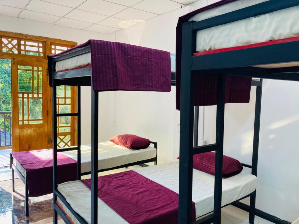 a room with three bunk beds with purple sheets at Ashi Hostel Sigiriya in Sigiriya