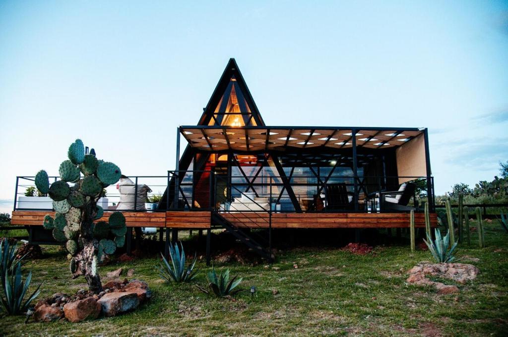 a small house in a yard with a cactus at Águila Lodge in San Miguel de Allende