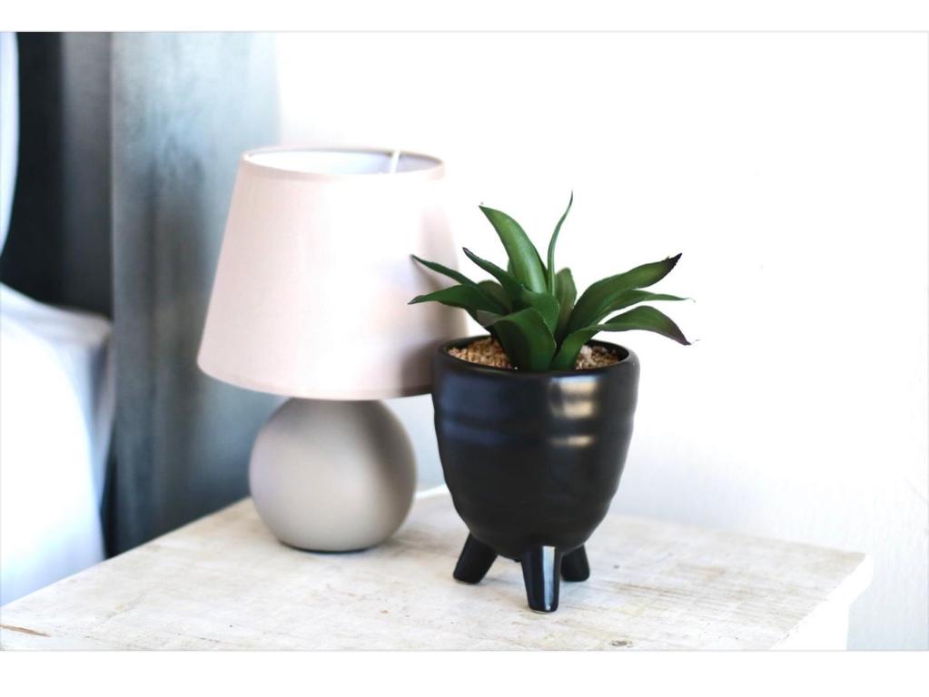 a lamp and a potted plant on a table at Little Waters Bnb in Queenstown