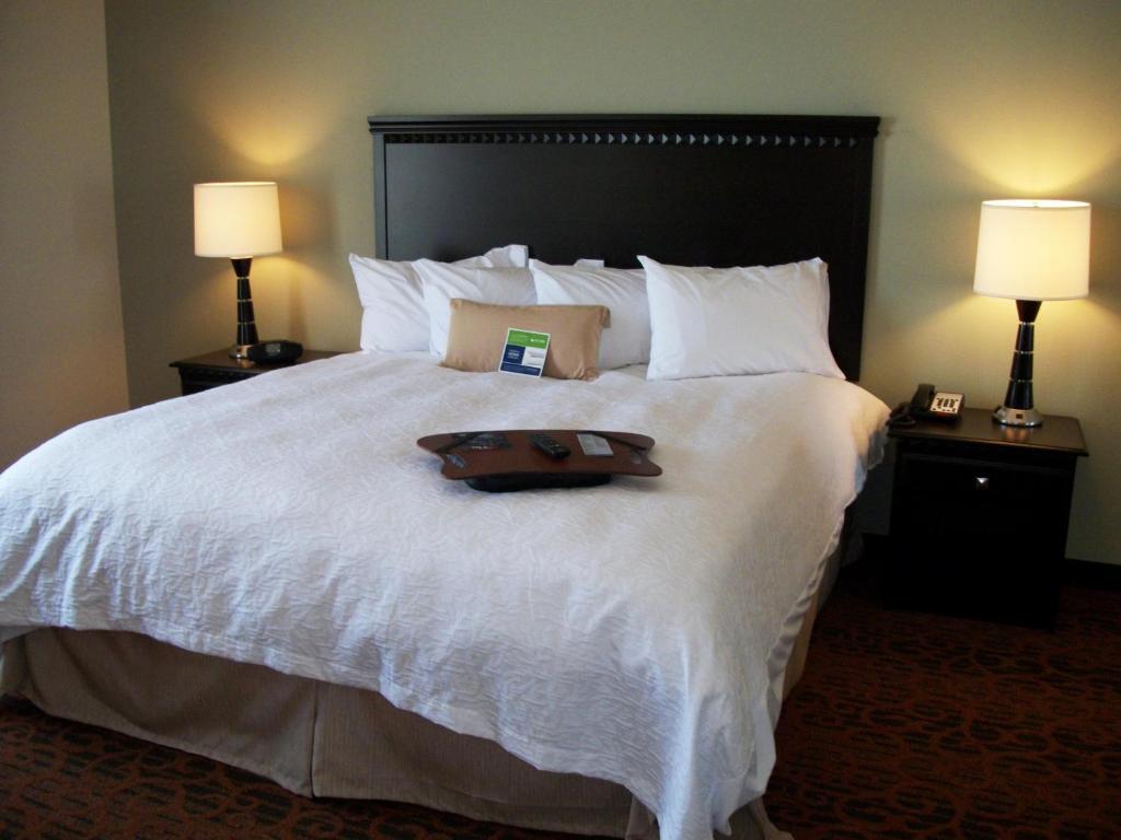 Hampton Inn Pecos - Camera King Con Letto King - Non Fumatori