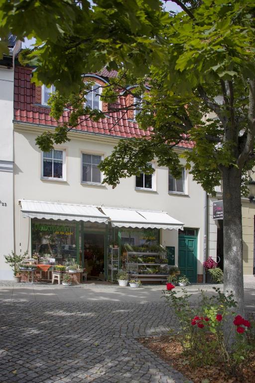 a white building with a tree in front of it at Am Blumenladen in Lübben