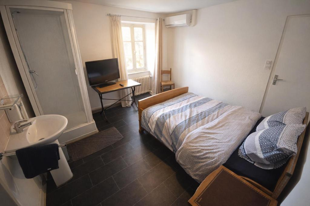 a bedroom with a bed and a sink and a television at Chez ValJean in Châlus