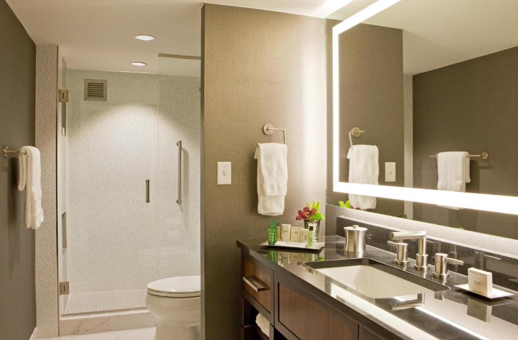 Hilton Nashville Downtown - 