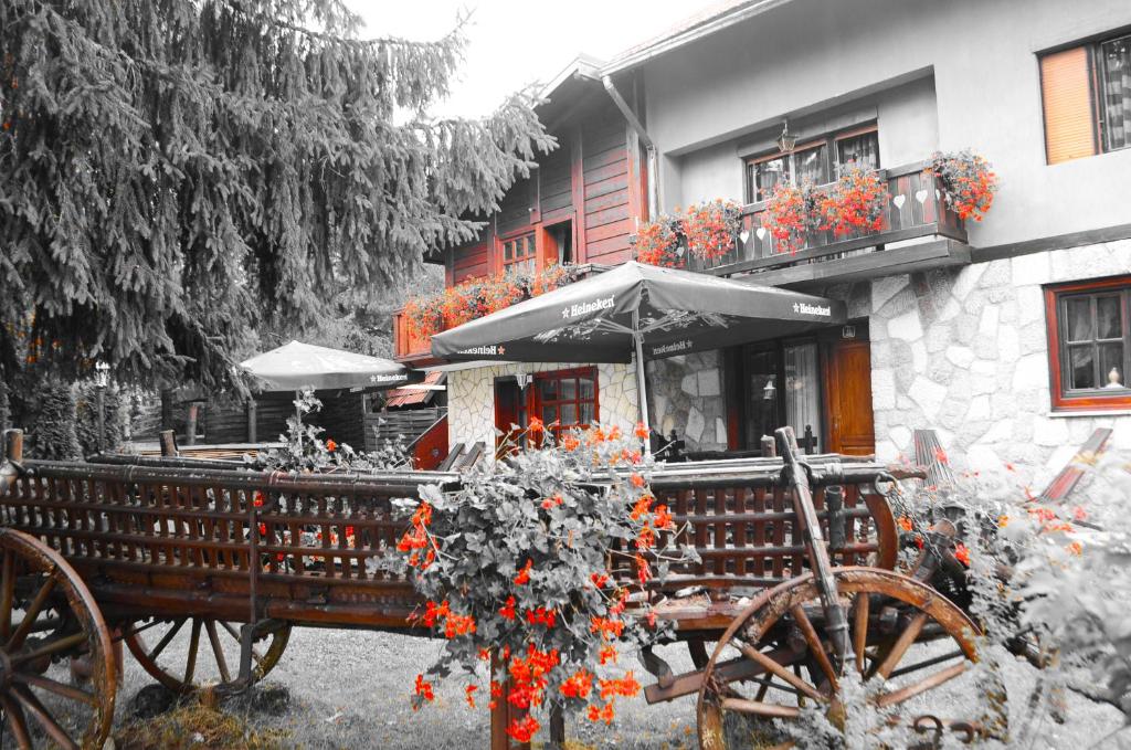 Villa Miris Dunja - Special Offer - Studio With New Year Package