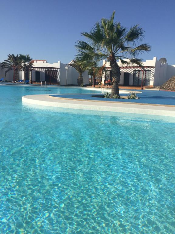 a swimming pool with blue water and palm trees at Sun Beach 5 in Caleta De Fuste