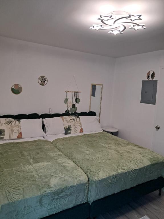 a bedroom with a large bed with a green comforter at Small's Cozy Rest 9 Efficiency in South Bimini