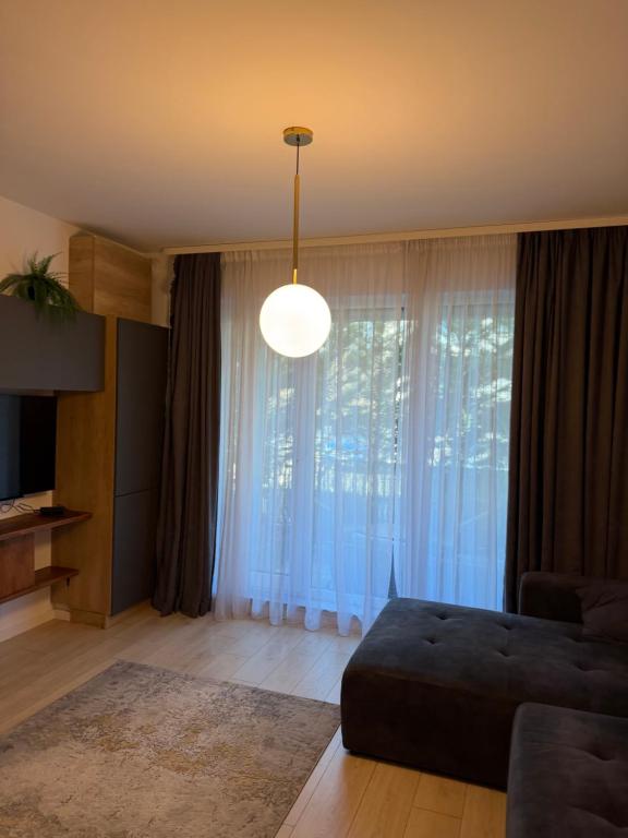 a living room with a couch and a large window at Pipera Garden Apartment in Voluntari