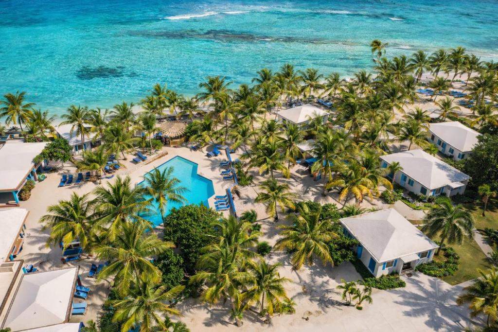 an aerial view of the beach at the excellence punta cana resort at Palms Resort and Beach in La Grande Princesse