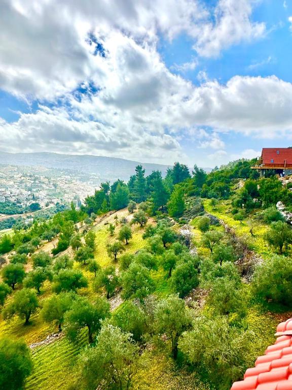 أكواخ المها oryx cottage