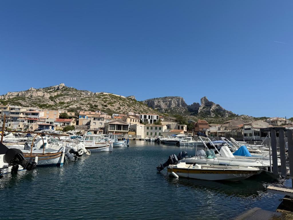 a bunch of boats are docked in a marina at Cabanon des calanques aux Goudes in Marseille