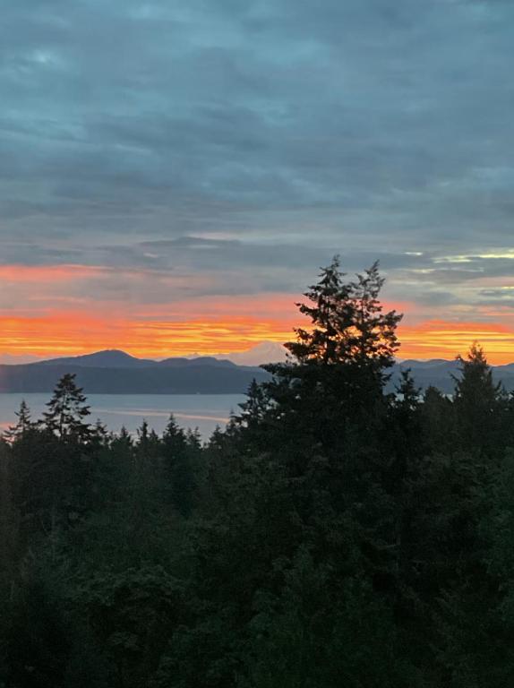 a sunset over the water with trees in the foreground at Salt Spring Sunrise in Saltspring Island