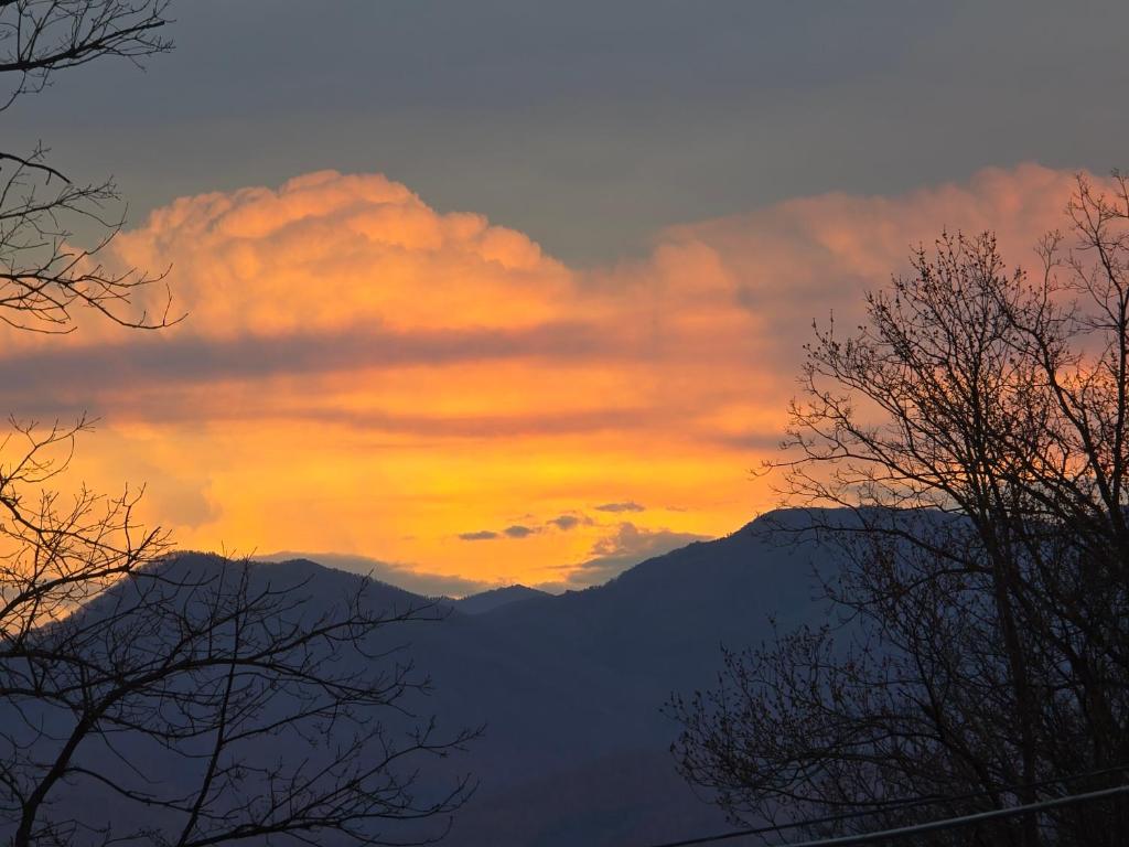 a sunset in the mountains with trees in the foreground at Whispering Bears Chalet in Gatlinburg