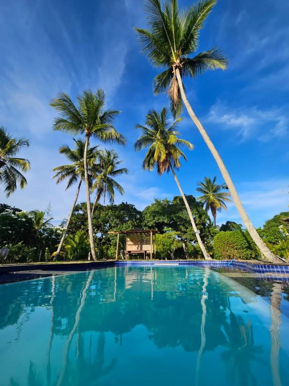 a swimming pool with palm trees in the background at Porto Taipu in Marau
