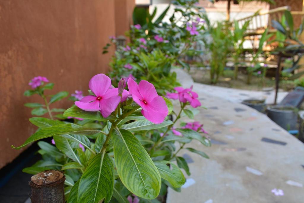 Zahrada ubytování Panisara Pool Villa Resort Huahin