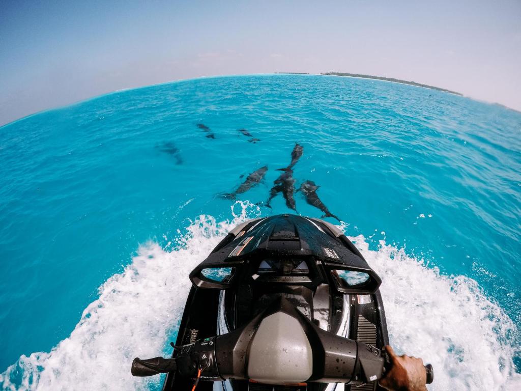 Eri Maldives - View 34