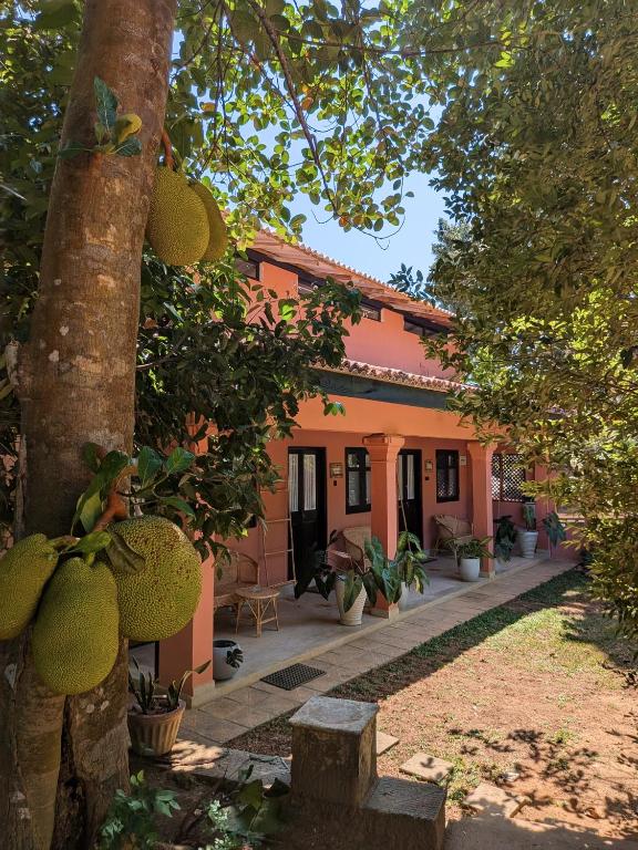 an orange house with a tree and some plants at Mariposa Hiriketiya in Dickwella