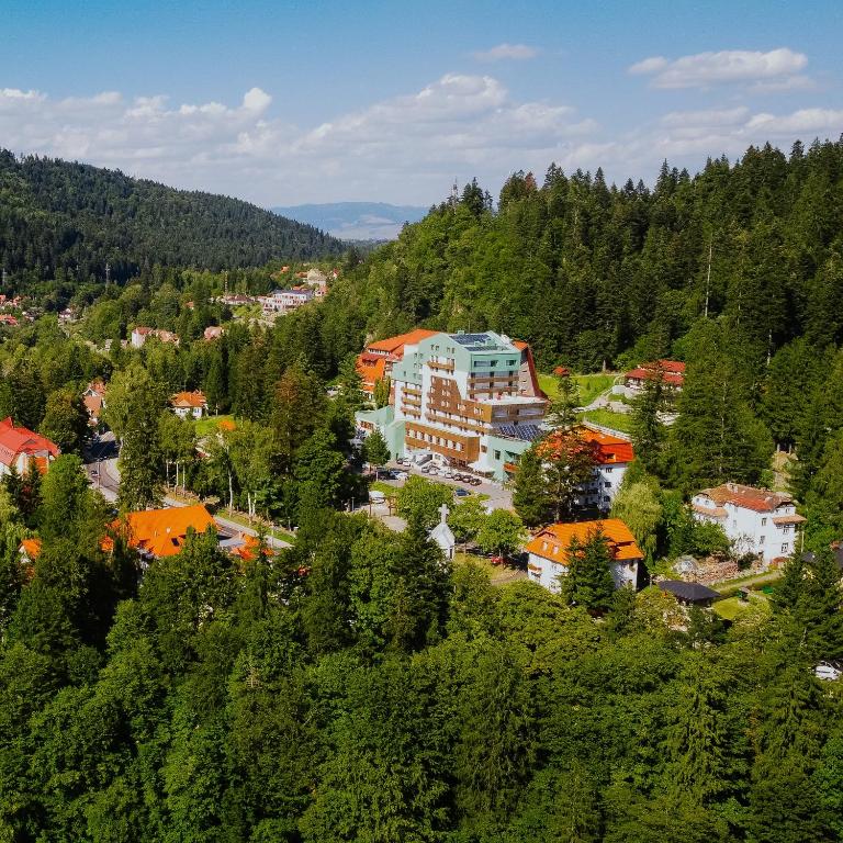 an aerial view of a town in a forest at Hotel O3zone - Mountain Spa & Conference in Băile Tuşnad