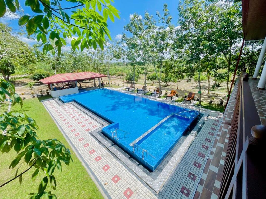 an overhead view of a swimming pool with a gazebo at Yaalu-Yaalu in Welikanda