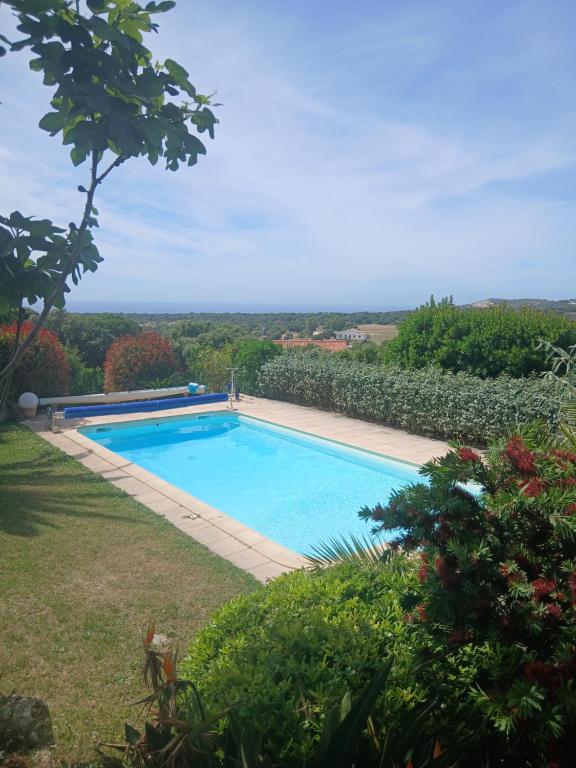 a large swimming pool in a yard with a view at Appartement à Lumio in Lumio