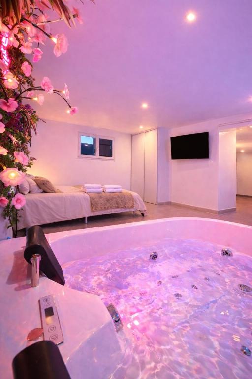 a room with a tub with a bed and a television at Logement entier avec jacuzzi proche futuroscope in Naintré