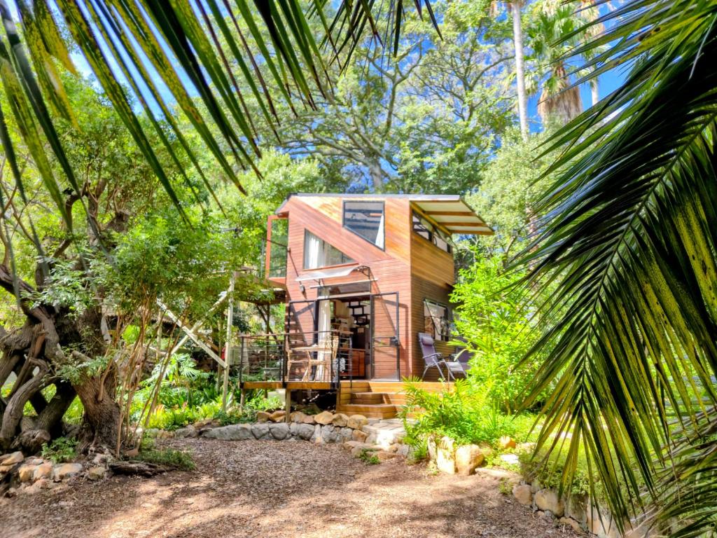 a small wooden house in the middle of a forest at ZenCapeTown Forest Retreat in Cape Town