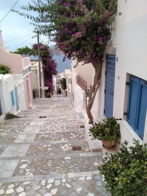 a street in a town with a tree and flowers at Angel House in Ermoupoli