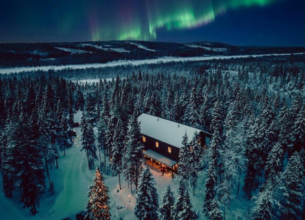 an aerial view of a house in a forest with the aurora at Villa Happy Fox in Rovaniemi