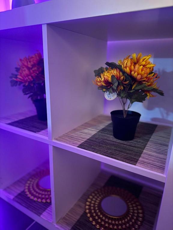 Studio lumineux proche centre Mulhouse – photo 16