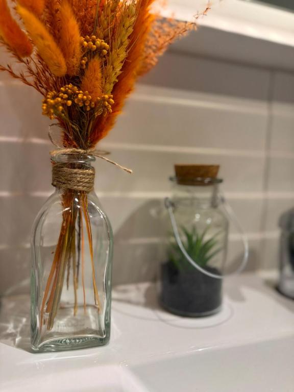 Studio lumineux proche centre Mulhouse – photo 18