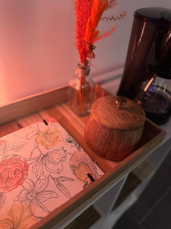 Studio lumineux proche centre Mulhouse – photo 14