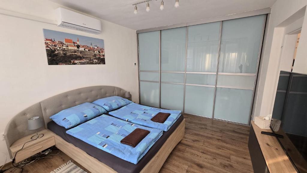 a bedroom with a bed and a tv in it at Apartmán Hálkova in Znojmo