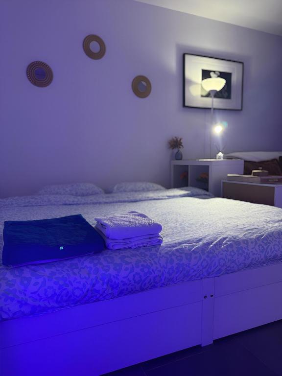 Studio lumineux proche centre Mulhouse – photo 2