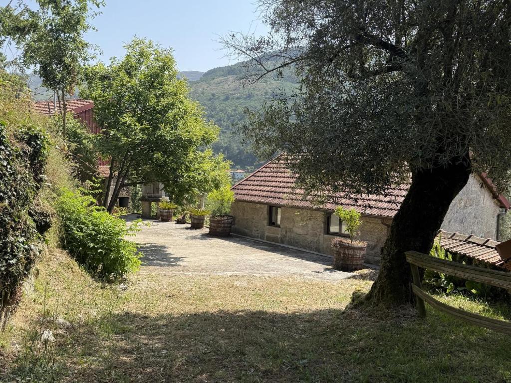 a building with a tree next to a driveway at Serena Nest 02 in Cabeceiras de Basto