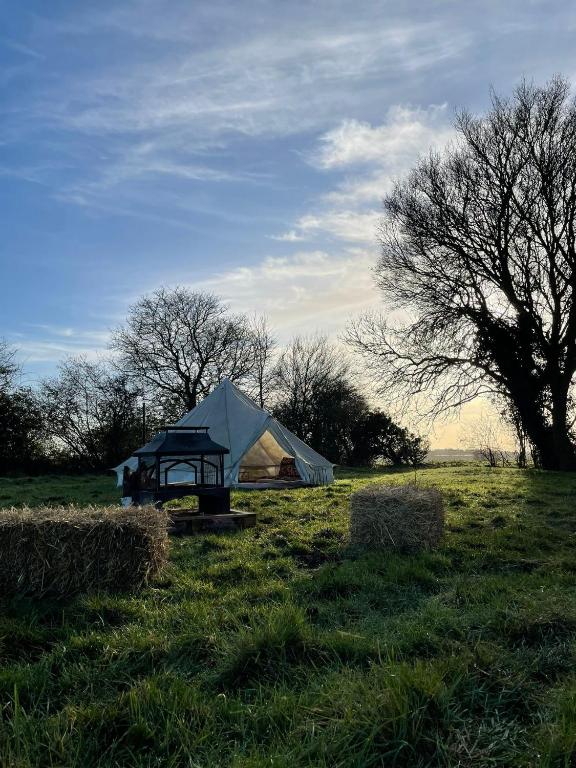 a tent in the middle of a field with trees at Happy Meadows - The Chick Inn in Long Stratton