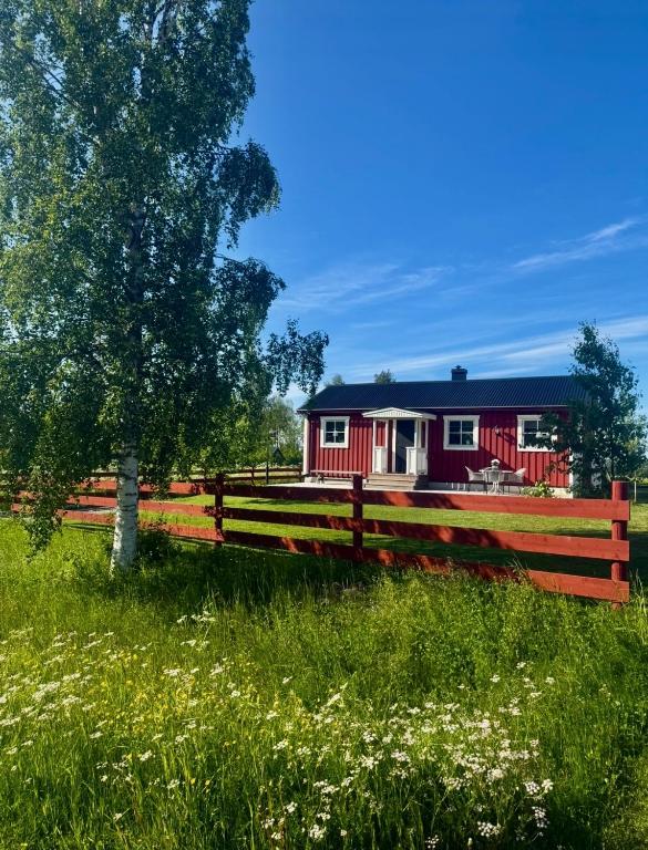 a red house with a fence and a tree at Litet hus på landet in Krokom