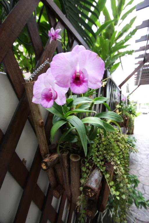 Chaba Place - Resim 38