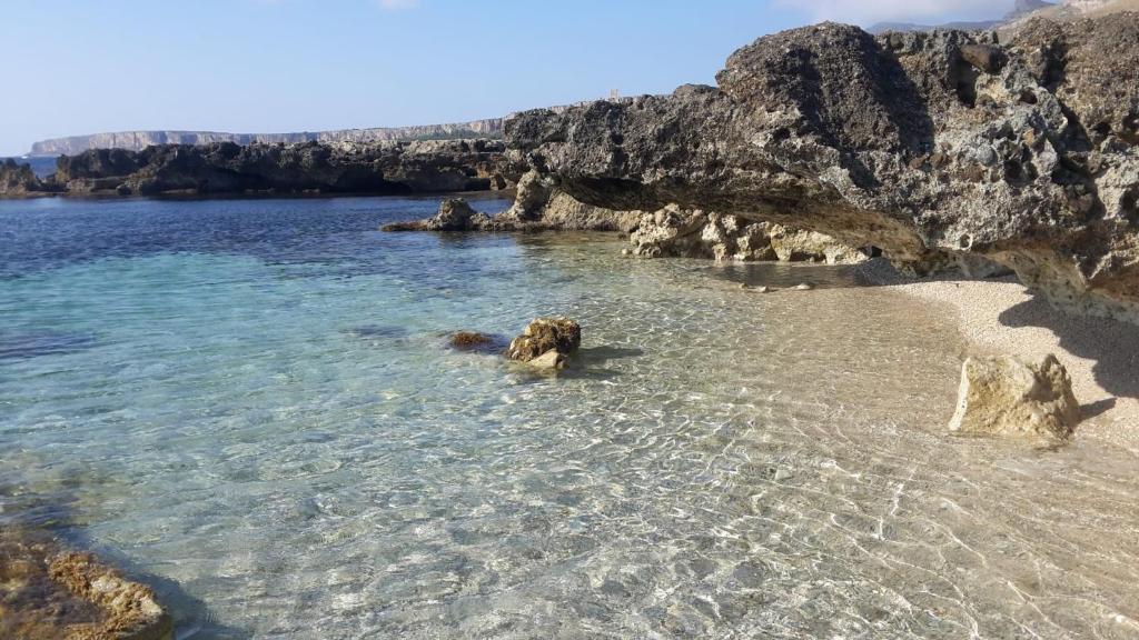 a dog laying in the water on a beach at Macari Villa Laura in Macari