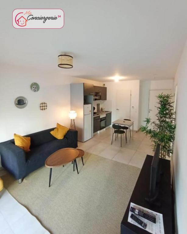 Joli T2 Ensoleillé Parking Privé Terrasse -Maconciergerie34