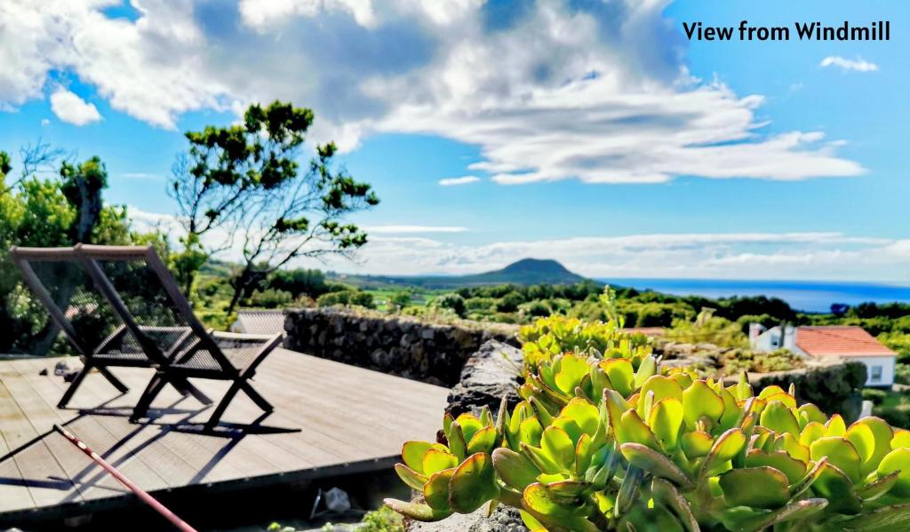 a chair sitting on a wooden deck with a cactus at Moinho&Casa do Tareco in Biscoitos
