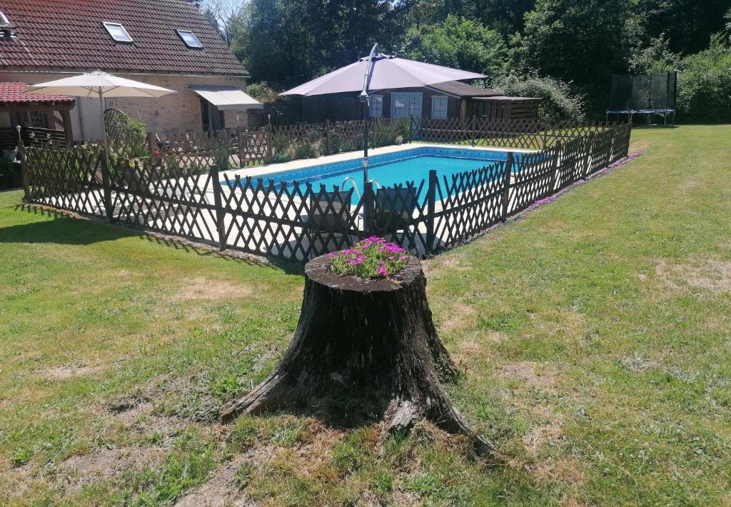 a tree stump with a fence around a pool at L'Amelia Les Trois Petites Maisons in Cromac