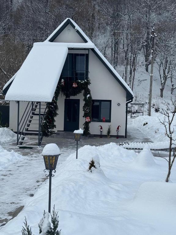 a house covered in snow with a light in front at Вича in Sasivka