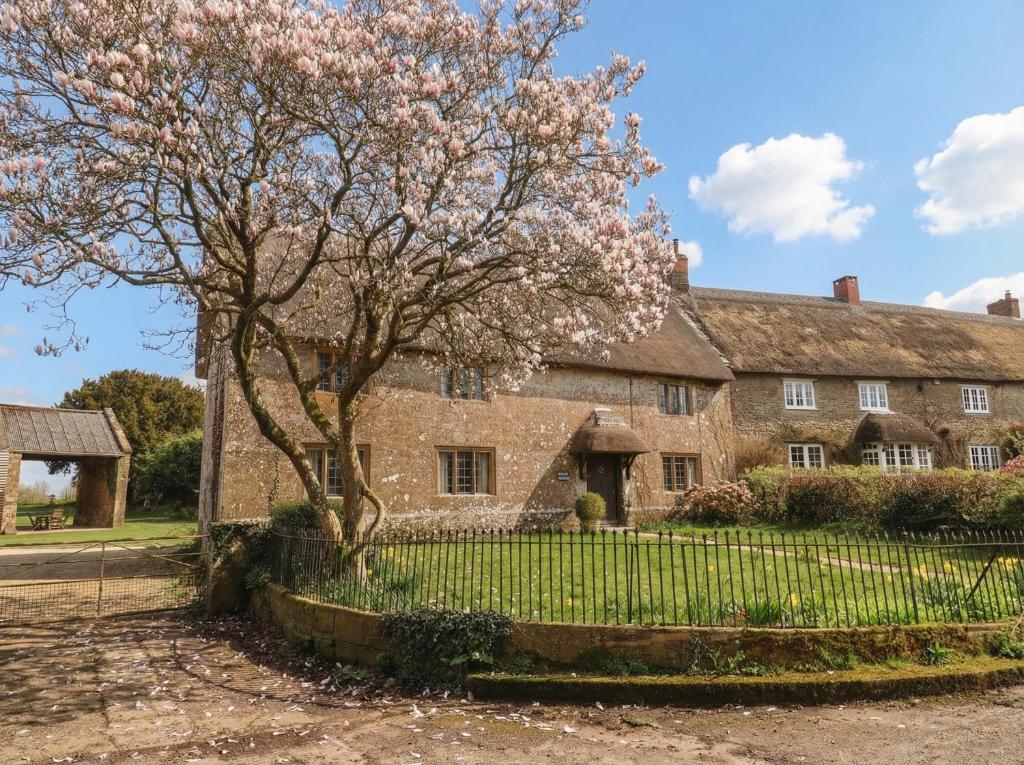 an old stone house with a tree in front of it at Manor Cottage in Ilminster