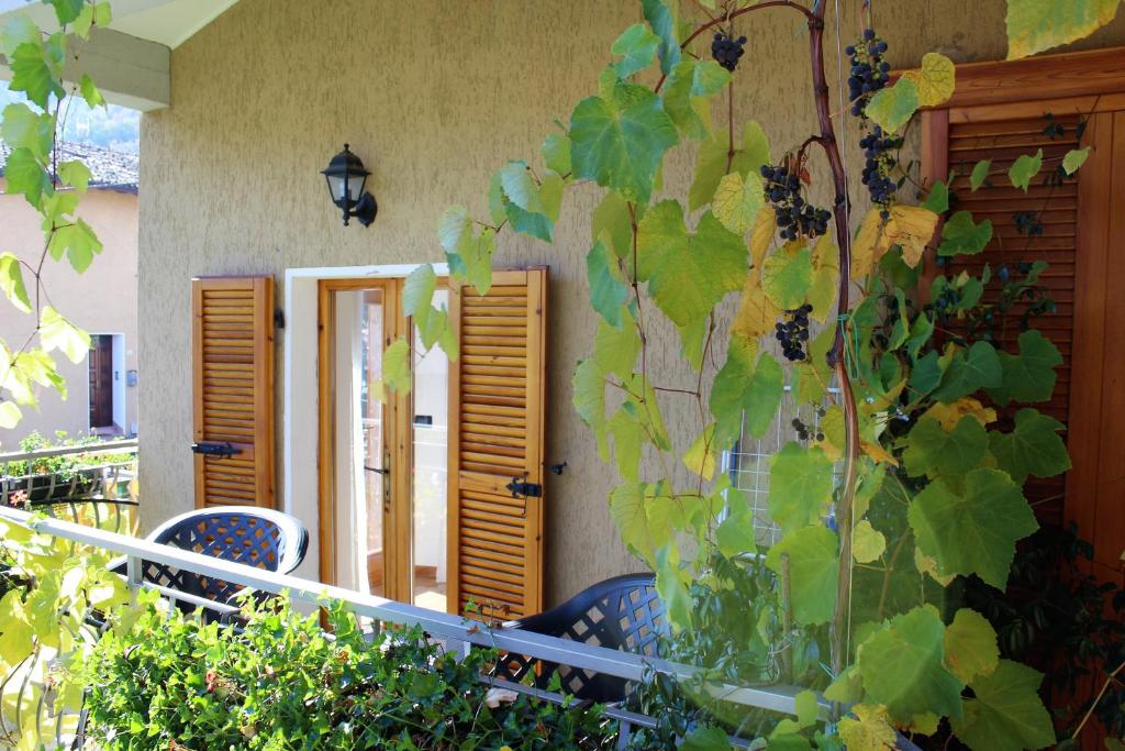 Zahrada ubytování Casa Bruna Tignale