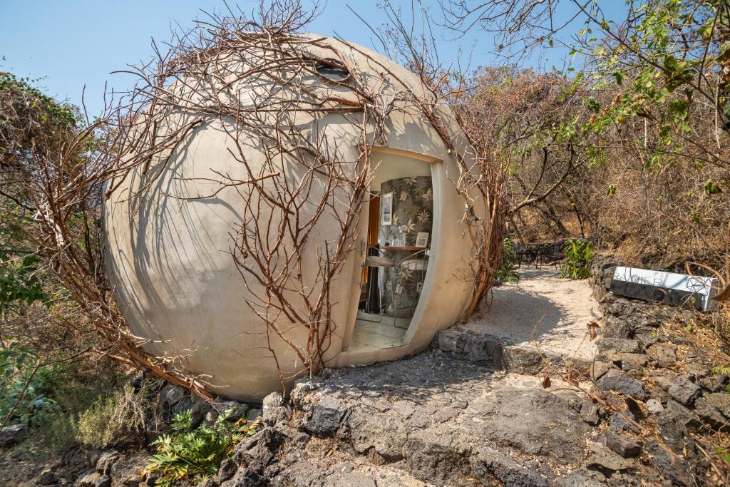 Bosque Geométrico - Double Room With Mountain View