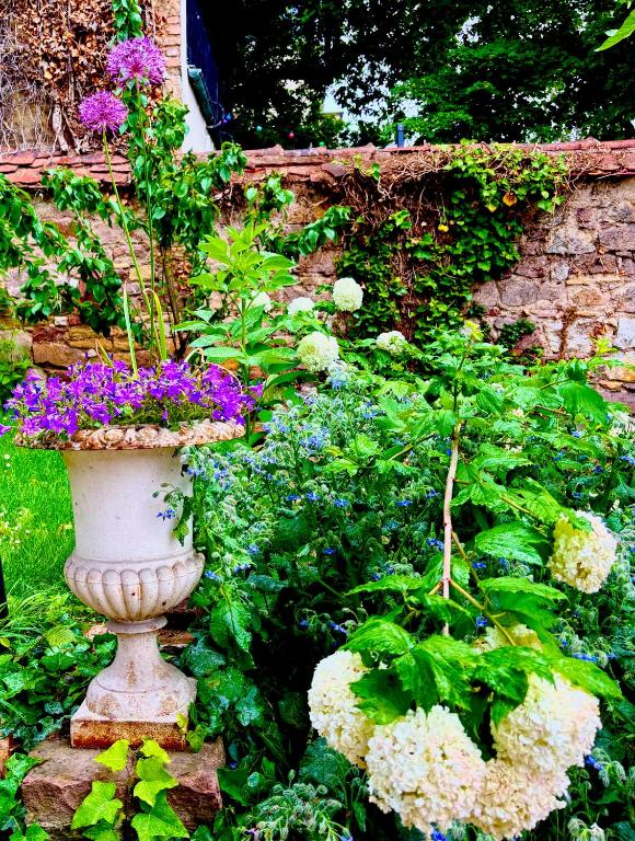 La Villa Alma Colmar – photo 24