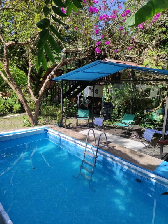a swimming pool with a blue umbrella and chairs at Papaya Wildlife Lodge in Cahuita