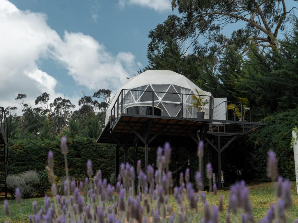 Domo Pajcha, Samaipata Glamping