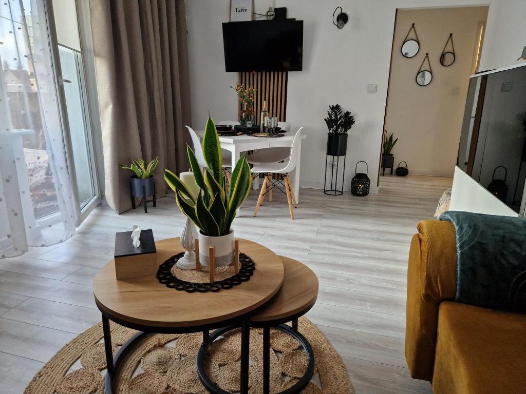 a living room with a table with a plant on it at PIK-Kwatery in Morąg