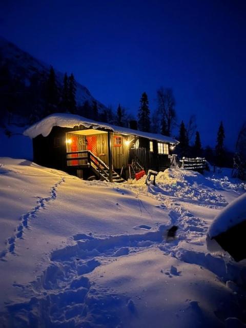 a cabin in the snow at night at Cosy mountain cabin 875m near Turufjell, ski, fishing, hiking and quiet nature in Flå