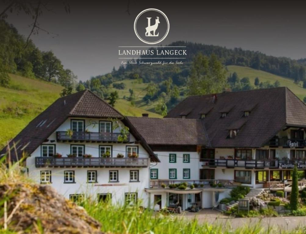 a large white building with a mountain in the background at Landhaus Langeck in Münstertal